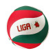 Liga Μπάλα Volleyball Smash